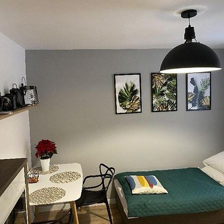 Apartamenty Blogi Sen Ii- Komfortowy Nocleg W Spokojnej Lokalizacji Zabrze Kültér fotó