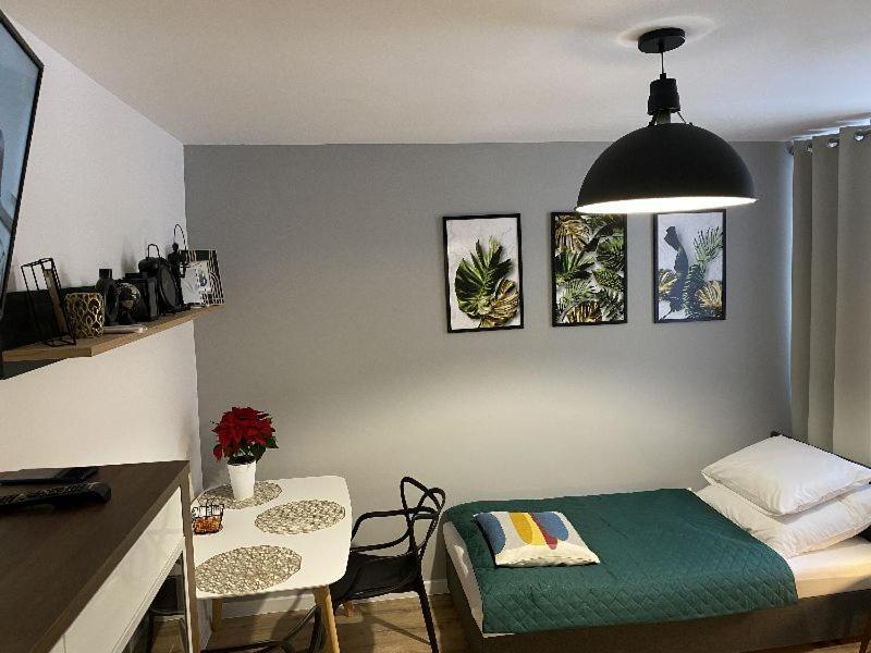 Apartamenty Blogi Sen Ii- Komfortowy Nocleg W Spokojnej Lokalizacji Zabrze Kültér fotó